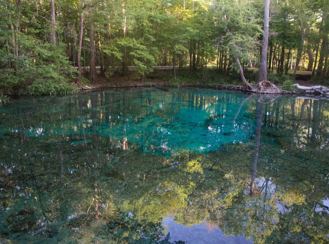 Springs in Central Florida that you need to visit