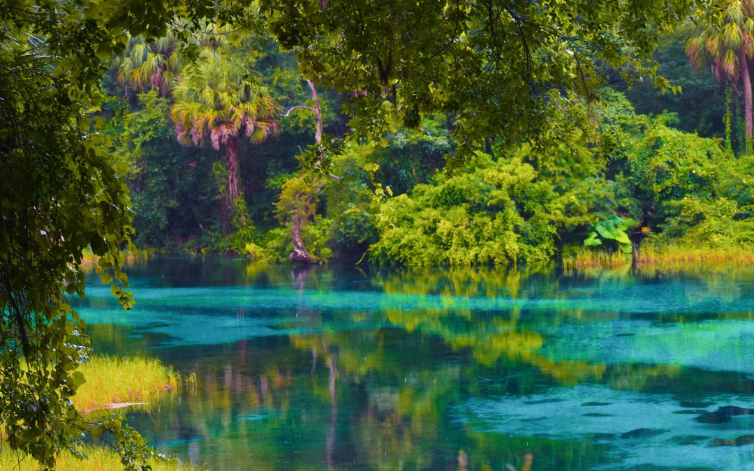 Rainbow Springs is one of the best things to do in Citrus Springs, Florida