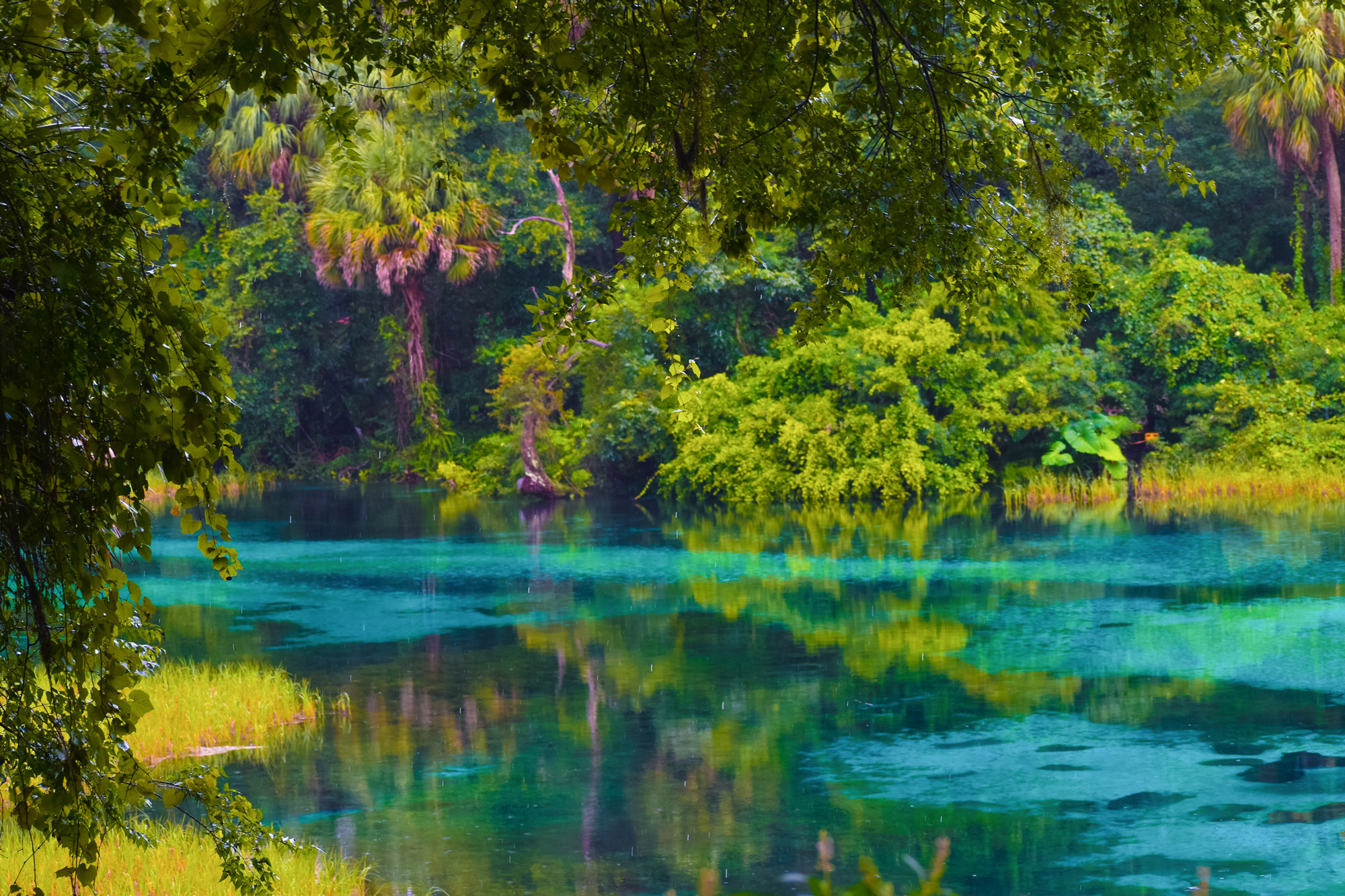 The Top Things To Do in Citrus Springs, Florida - Deltona Homes 