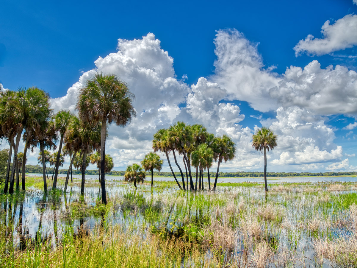 The Best Things To Do In North Port, Florida