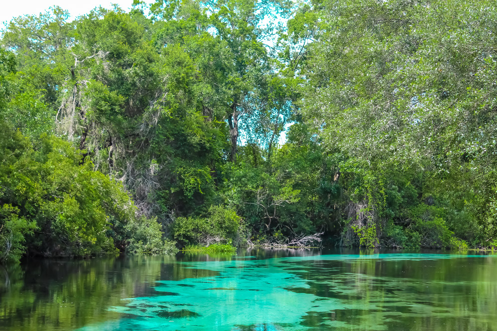 The springs at Weeki Wachee, which are is a great choice for things to do near Timber Pines