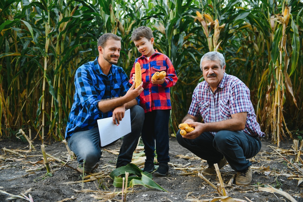Corn field with family. Corn Farm