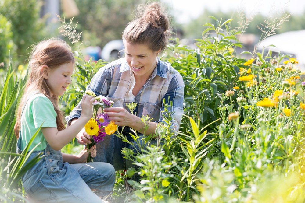 Mother and daughter picking flowers. U-Pick flower farm