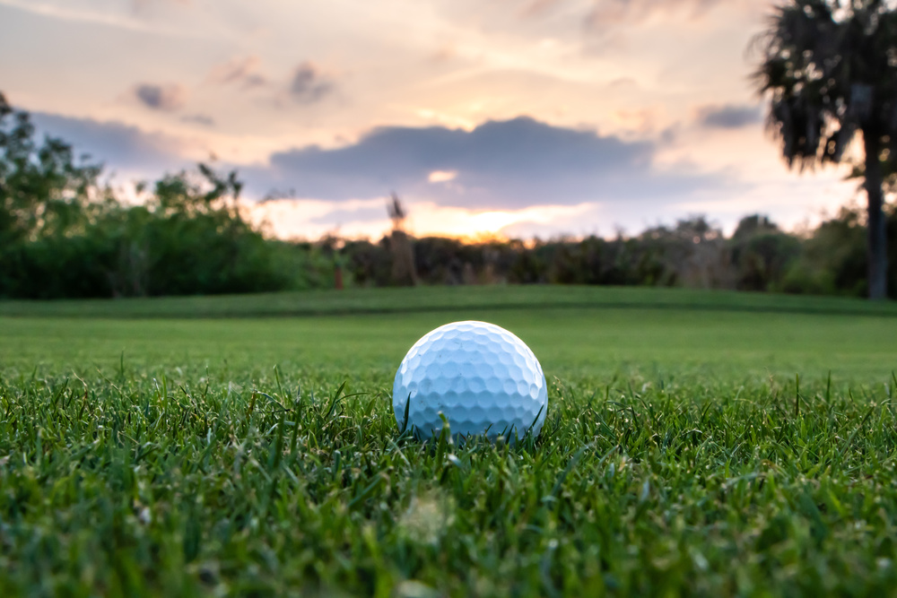 Ocala Golf Courses: Discover the Top Golfing Gems in the Area