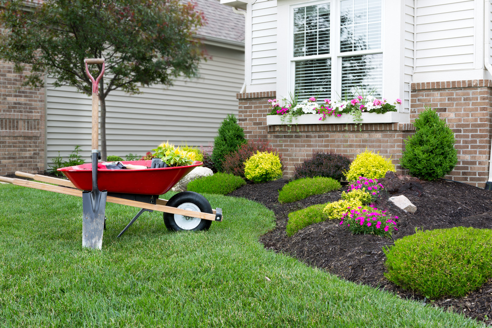 Florida Home Landscaping Ideas