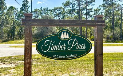 Guide to Citrus Springs, Florida