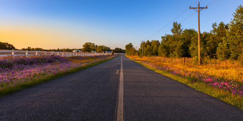 Roads in Ocala, FL Pretty road in Ocala, FL