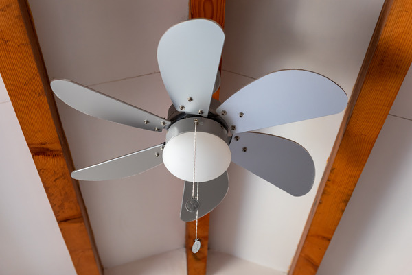 Ceiling Fan Ceiling Fan