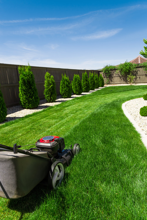 Summer Lawn Care Mowing the Lawn in Summer