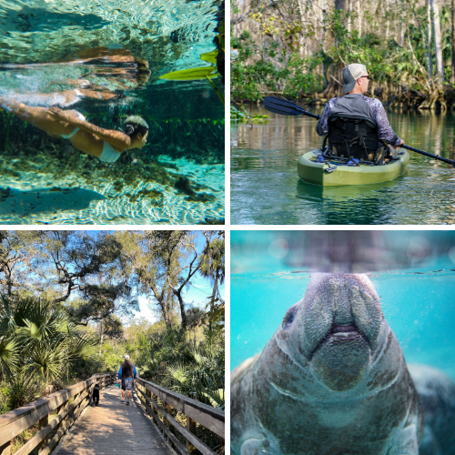 Florida Springs Activities Grid of the springs activities