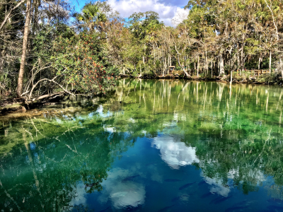 Homosassa Springs