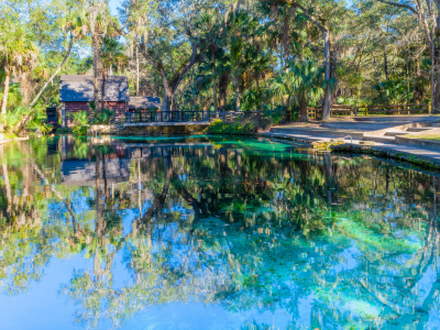 Juniper Springs Water View of Juniper Springs