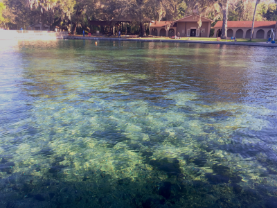 Ponce De Leon Springs Water View at Ponce De Leon Springs State Park