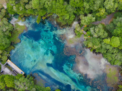 Rainbow Springs Overhead Shot of Rainbow Springs