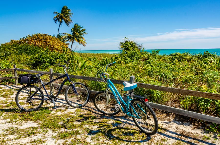 Biking in north florida two bikes park on the side of a trail the ocean in the background