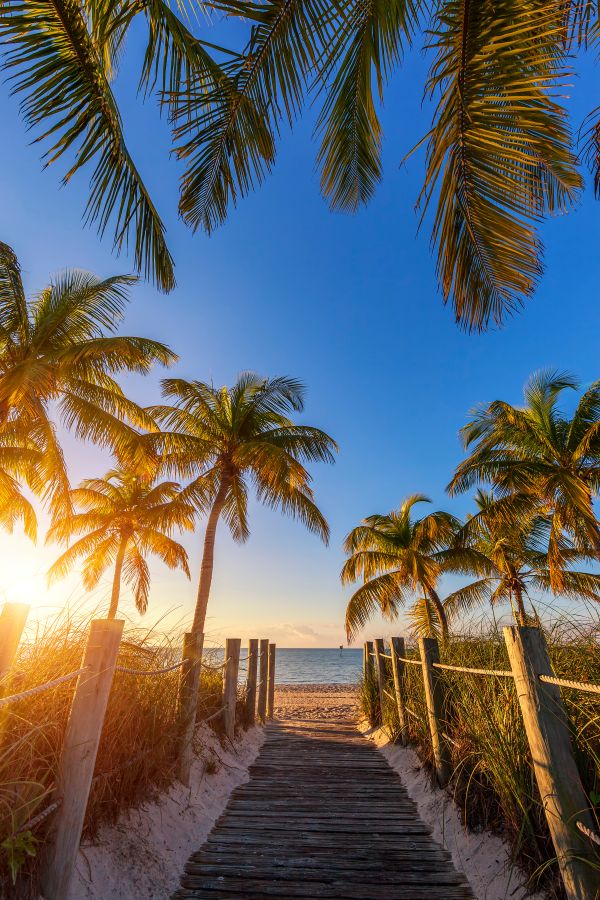 Passage to the beach at sunrise