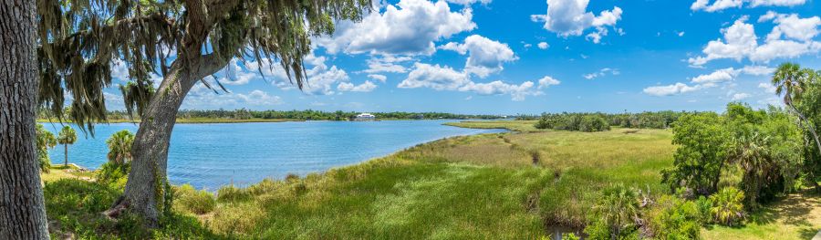 wide shot of a Florida lake