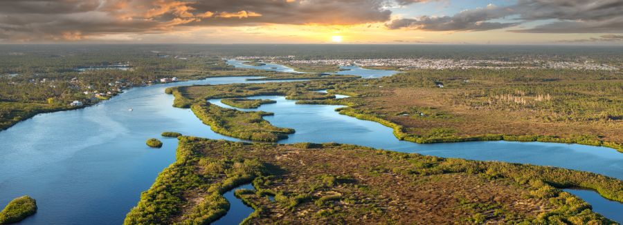 Myakka river wetlands in North Port. 