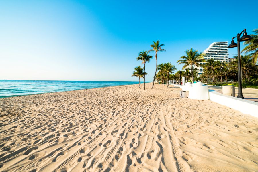 White sand beach with palm trees