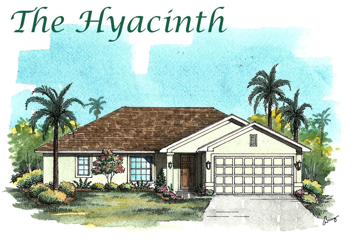 The Hyacinth