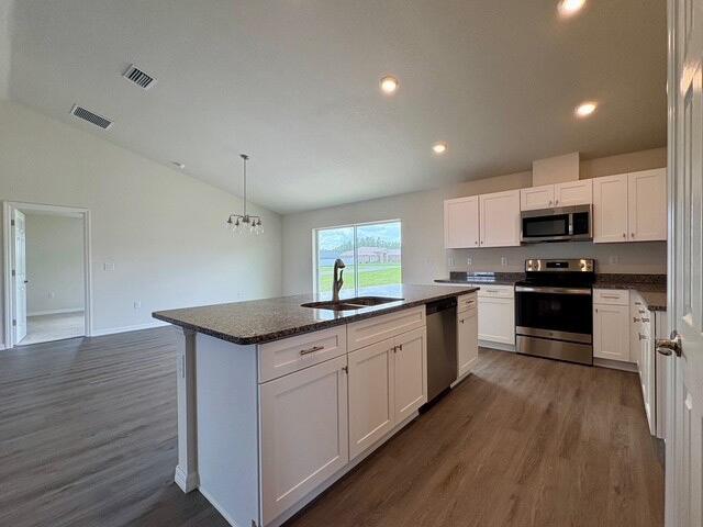 Hyacinth Model Kitchen